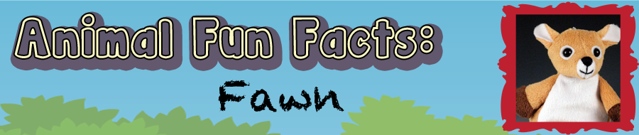 animal fun facts header