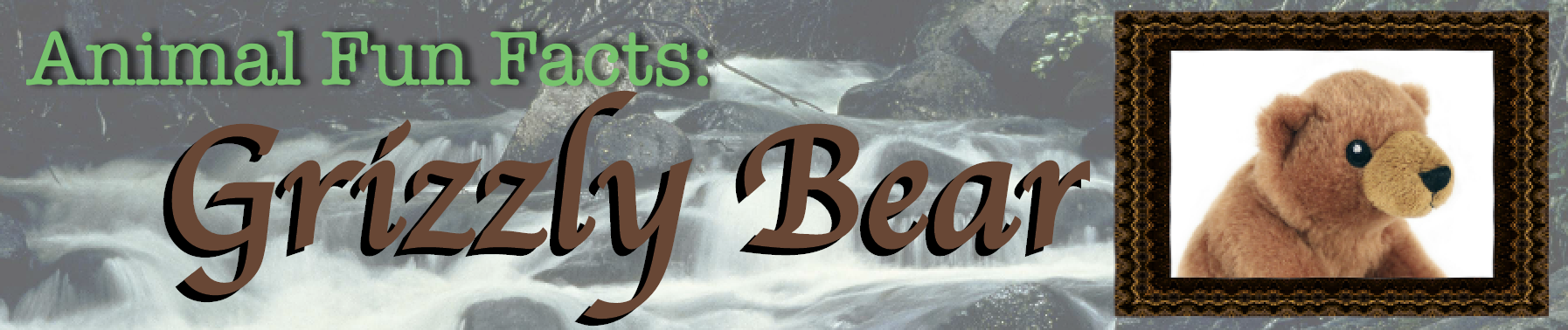 Grizzly Bear Fun Facts Banner